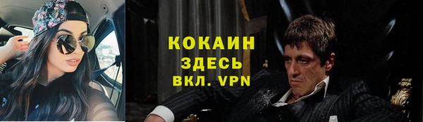 твердый Алексеевка
