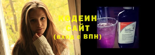 соль ск Сосновоборск