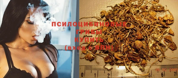 ешки Алзамай