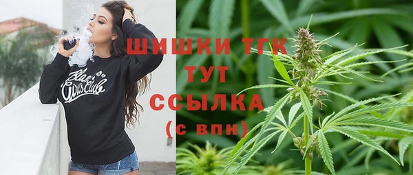 ешки Алзамай