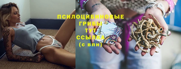 mdpv Алексин