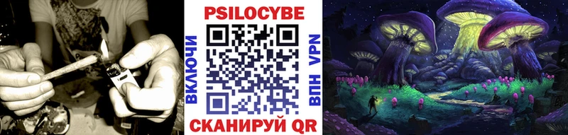 Галлюциногенные грибы MAGIC MUSHROOMS  Завитинск 